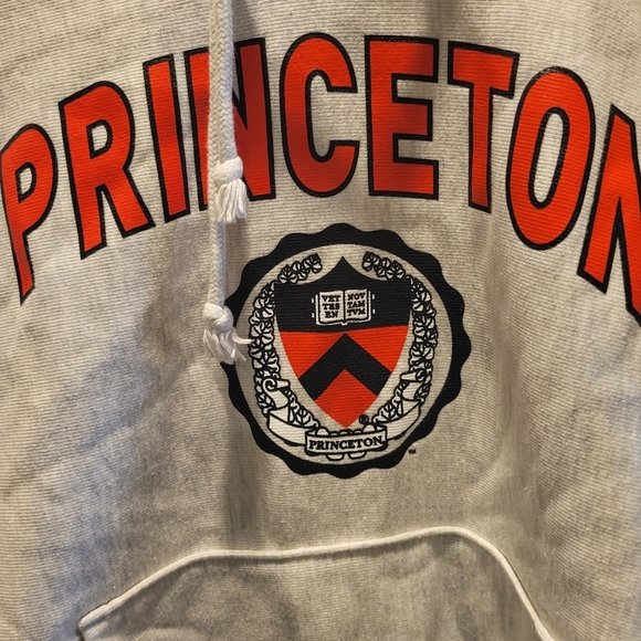 Vintage Champion Princeton Reverse Weave Hoodie Gray Size Medium - Picture 3 of 6